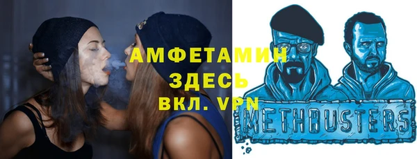 индика Дубовка